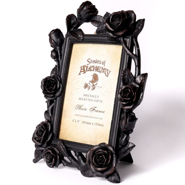 The Vault By Alchemy Cadre Photo ‘Rose & Vine’ Noir nouvelle saison 3