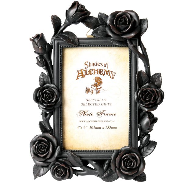 The Vault By Alchemy Cadre Photo ‘Rose & Vine’ Noir nouvelle saison 1