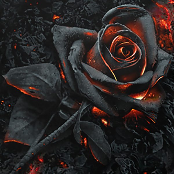 Spiral Direct Coussin ‘Burnt Rose’ Carré fashion pas cher 3