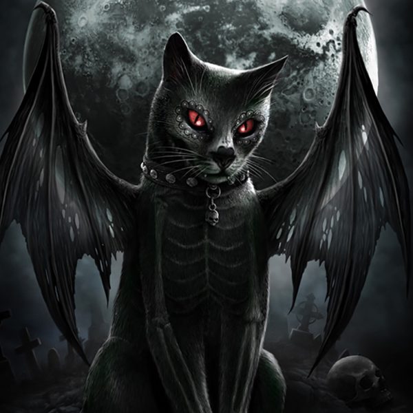 Spiral Direct Couverture Polaire ‘Vamp Cat’ Imprimée Recto-Verso france en ligne 3