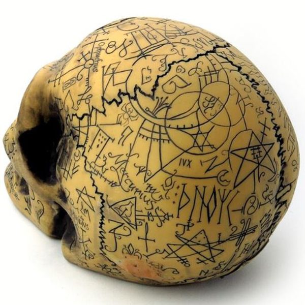 The Vault By Alchemy Crâne En Résine ‘Omega Skull’ pas cher en ligne 6