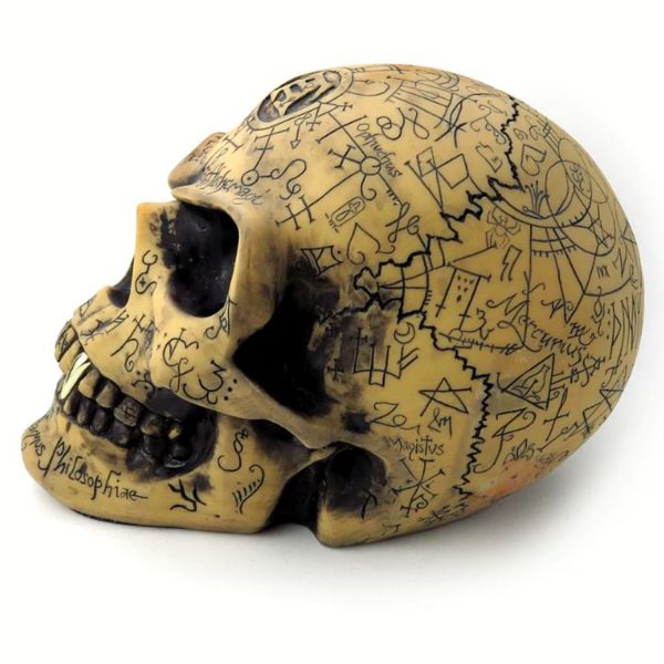 The Vault By Alchemy Crâne En Résine ‘Omega Skull’ pas cher en ligne 7