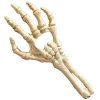 excellente qualité ALCHEMY GOTHIC Ouvre Bouteille ‘Skeletal Hand’ 8