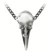 ALCHEMY GOTHIC Pendentif ‘Rabenschadel Kleine’ vente à bas prix 16