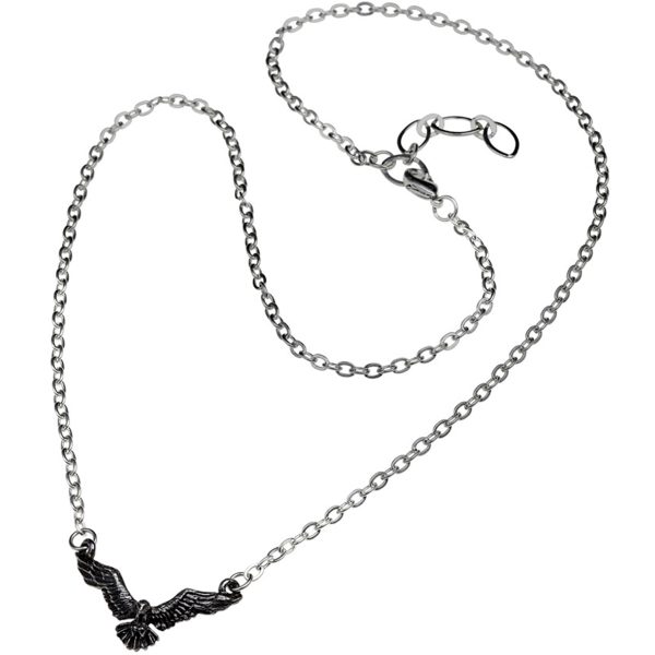 en france ALCHEMY GOTHIC Pendentif ‘Ravenette’ 3