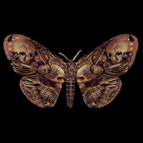 ALCHEMY GOTHIC T-Shirt ‘Sepulchre Moth’ Noir styles dernier cri 3
